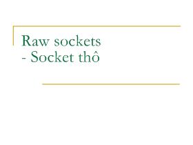 Bài giảng Lập trình mạng - Nguyễn Hoài Sơn - Raw Socket (Socket thô)