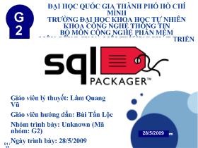 SQL Packager