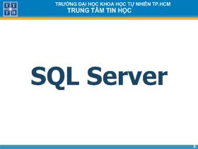 SQL Server - Bài 5: Lập trình với CSDL